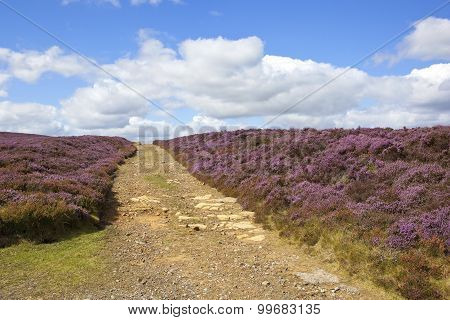 Stony Moorland Bridleway