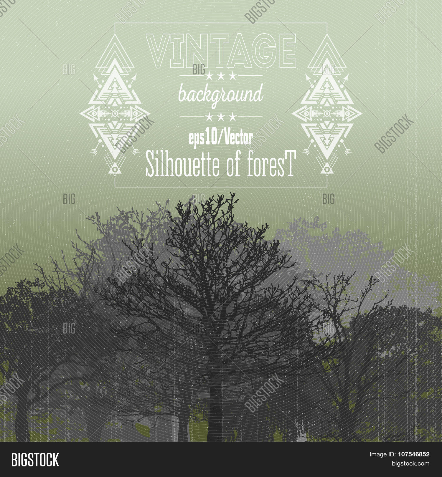 Vintage Forest Vector & Photo (Free Trial) | Bigstock