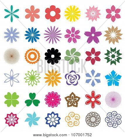 Set Of  Flowers Vector