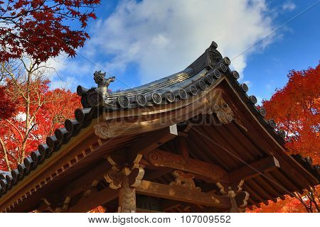 Fall Season Of Jojakukoji Temple