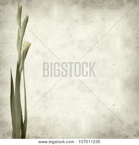 Textured Old Paper Background