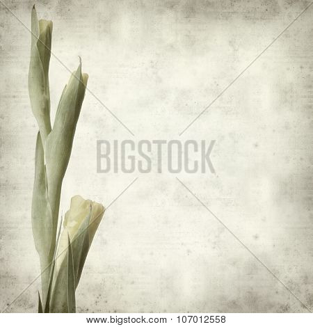 Textured Old Paper Background