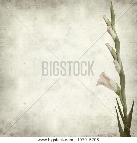 Textured Old Paper Background