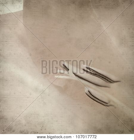 Textured Old Paper Background