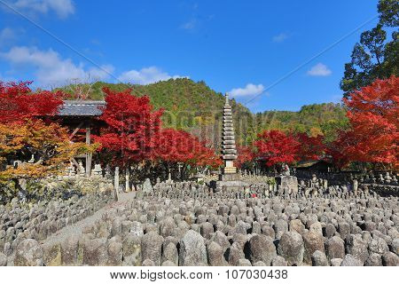 Autumn Leaves Of Adashino Nenbutsu-ji Of Buddha Statue