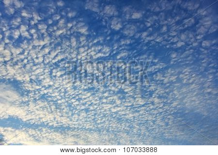 Altocumulus Clouds On Whole Sky