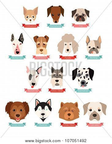 Dog breeds collection with ribbon