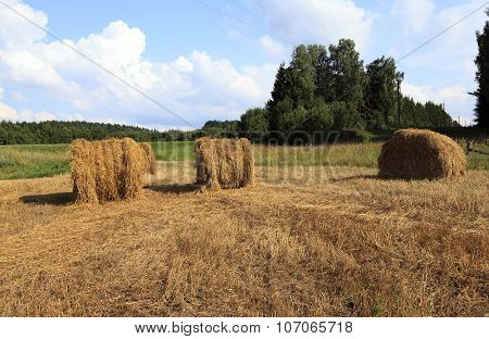 hay stacks straw