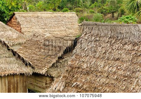 Thatched Roofs Of Traditional Houses In Amazonas