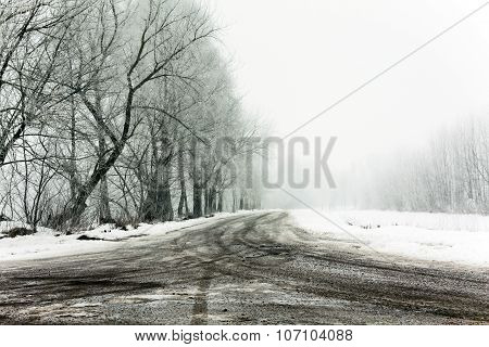 winter road   with snow