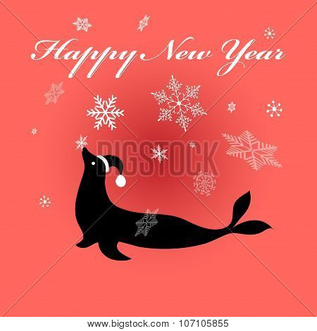 Fur Seal On Red
