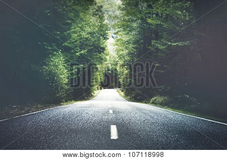 Summer Country Road With Trees Beside Concept