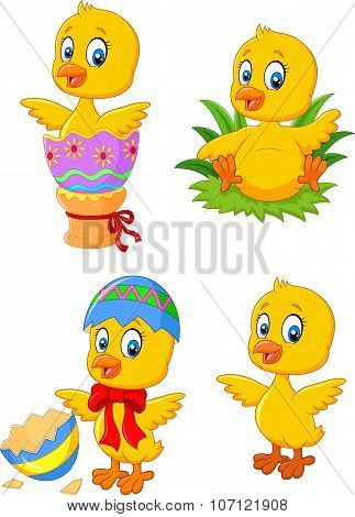 Cute funny baby chicken with Easter egg collection set