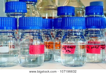 Laboratory Bottles On A Shelf