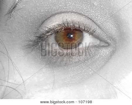 Brune øje Close-up