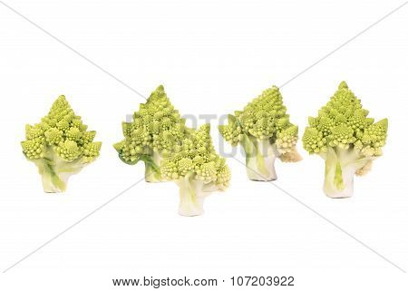 Cabbage Romanesco