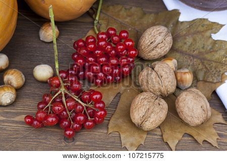 A bunch of red viburnum on an old wooden background