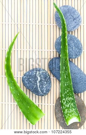 Aloe Vera On Stones Spa Treatment Scene Natural Spas Ingredients For Skin Care In Zen Like Concepts.