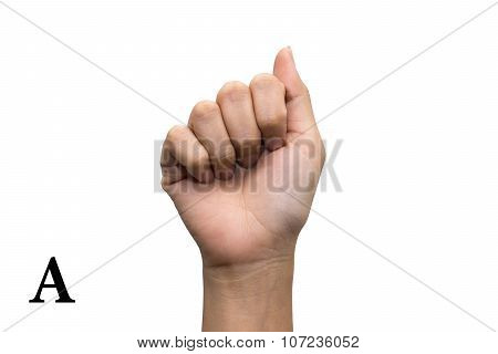 Finger Spelling the Alphabet in American Sign Language (ASL). Letter A