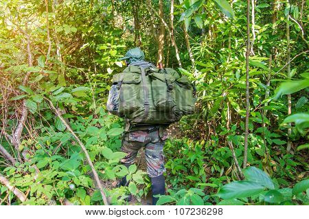 Soldier Or Chasseur Walking Through A Forest With Lush Grass