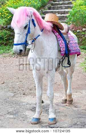 Pink haired white horse
