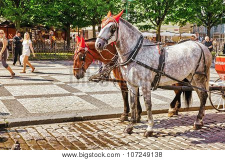 Prague, Czech Republic-september 12, 2015 Horses With Coach In  Prague On Street, People, Cetral Par
