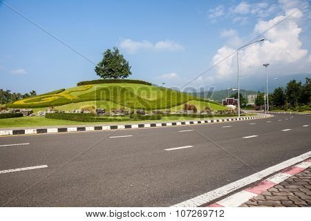 Roundabout Whit Tree