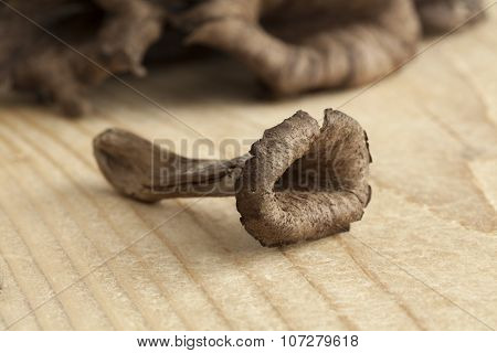  Fresh raw horn of plenty mushrooms