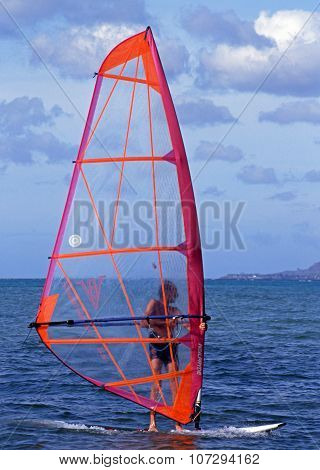 Windsurfer, Tobago.