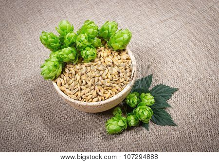 Fresh Hops And Barley Grain - Closeup