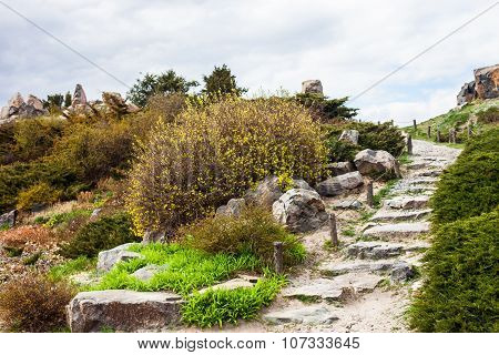 Stony Stairs In The Rockery In Kyiv Botanical Garden