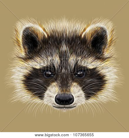 Illustrated Portrait Of Raccoon