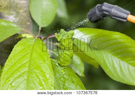 Device Of Spraying Pesticide.