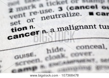 Dictionary Details
