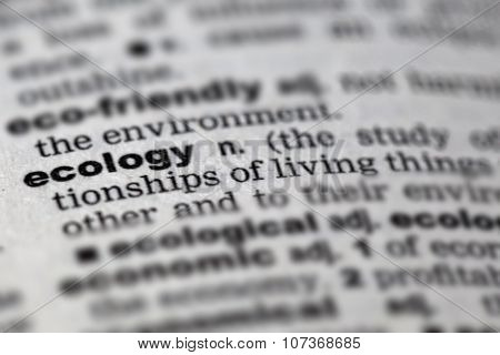 Dictionary Details