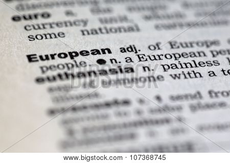 Dictionary Details
