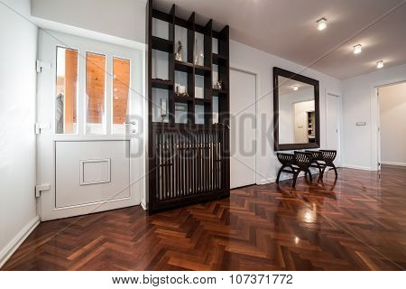 Spacious Anteroom Interior With Large Mirror And Shiny Brown Parquet