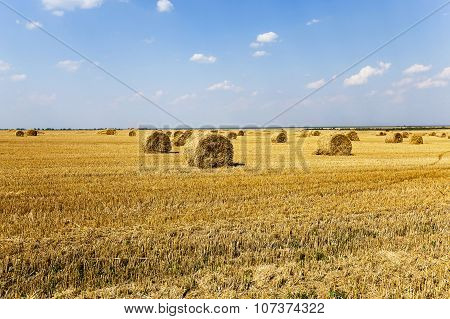 haystacks straw . summer