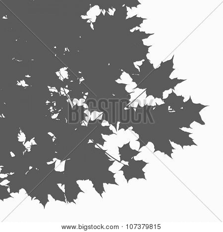 Marple leaves vector silhouette