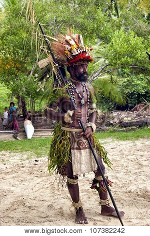Close up of New Guinea Papuan Korafe tribe warrior wearing traditional colorful bird of paradise fea