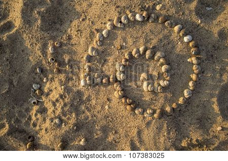 Assembled Big Shell Using A Lot Of Shells On The Sand