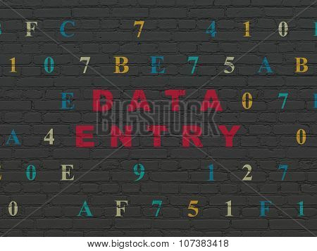 Data concept: Data Entry on wall background
