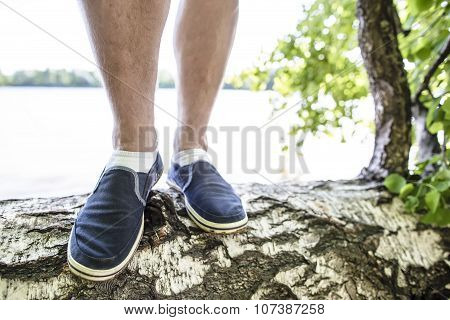 Close-up Of Legs Of A Man Who Stands On The Birch