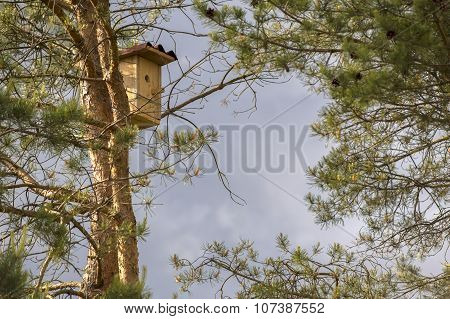 Birdhouse Hanging On A Pine Tree Against