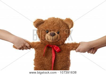 Two Children Pulling Teddy Bear Apart