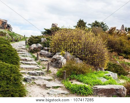 Stony Stairs In The Rockery In Kyiv Botanical Garden