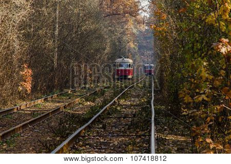 When city tram goes through the forest