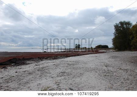 Colourful Coastline