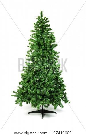 Unadorned Christmas tree isolated on white