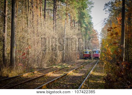 When city tram goes through the forest